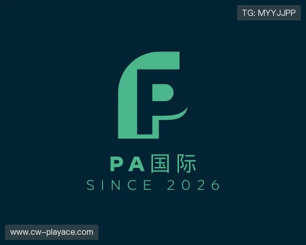 解读PA国际