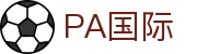 PA国际 (电子)集团官网