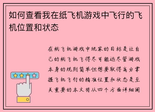 如何查看我在纸飞机游戏中飞行的飞机位置和状态